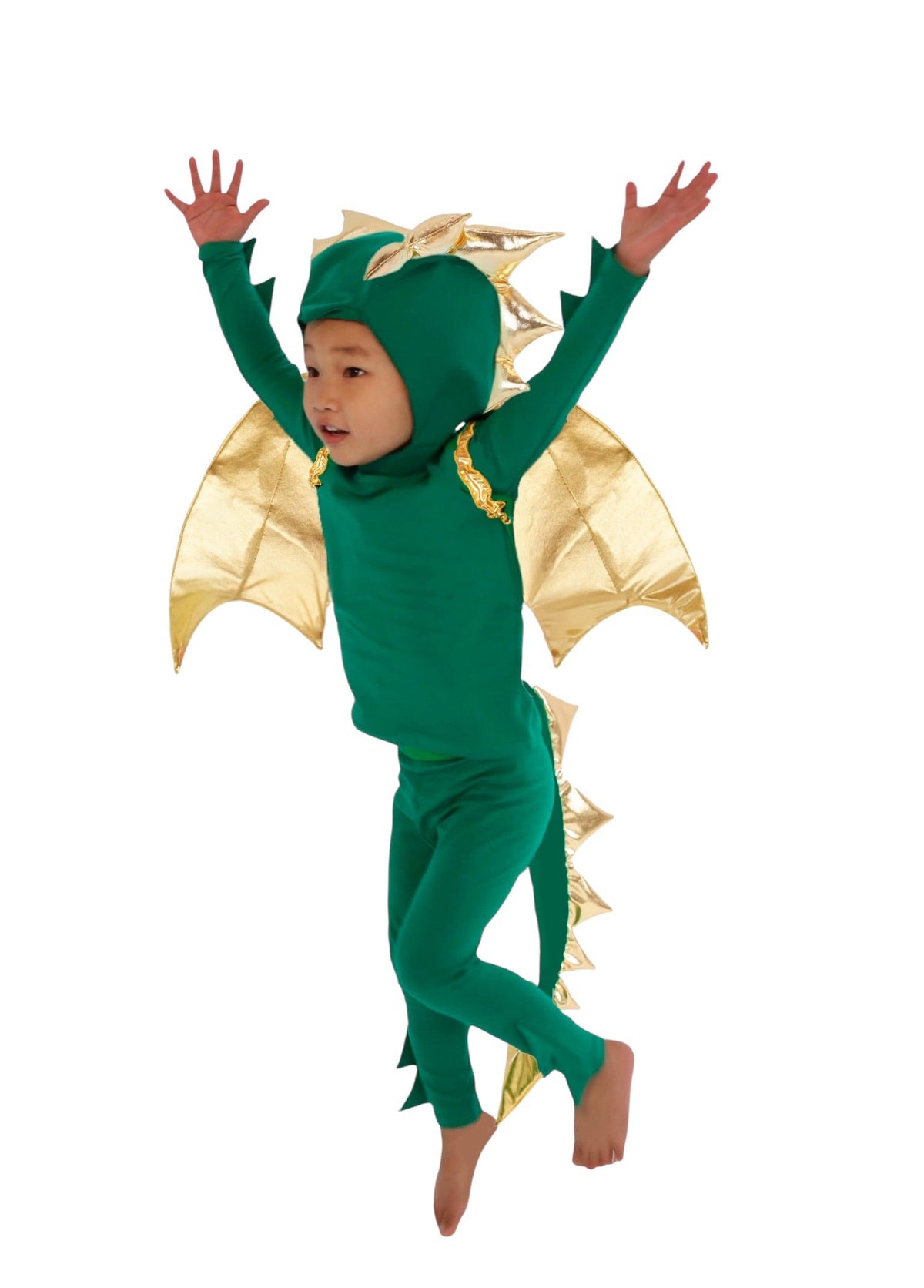 Green Dragon Costume
