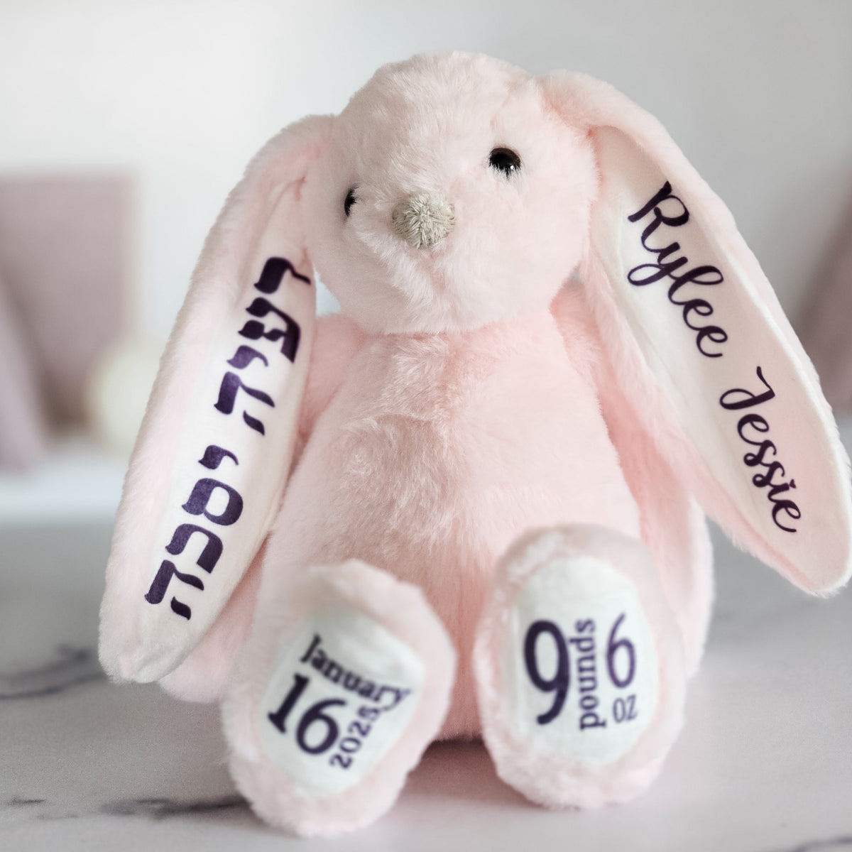 English and Hebrew Custom Plush Bunny for Kids