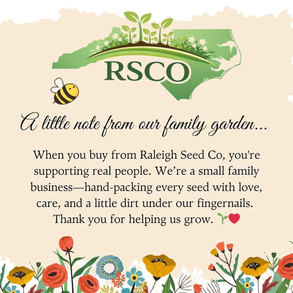 Baby in Bloom Seed Favors 25 Pack, Wildflower Baby Shower Favors