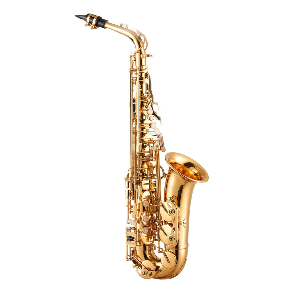 Alto Saxophone, E Flat, Brass Saxophone Beginner Kit With Carrying Case, Mouthpiece, Straps, Cleaning Cloth Rod, Gloves, Grease, Neck Strap, 23 Keys Alto Sax Kit, For Beginners Students, Gold