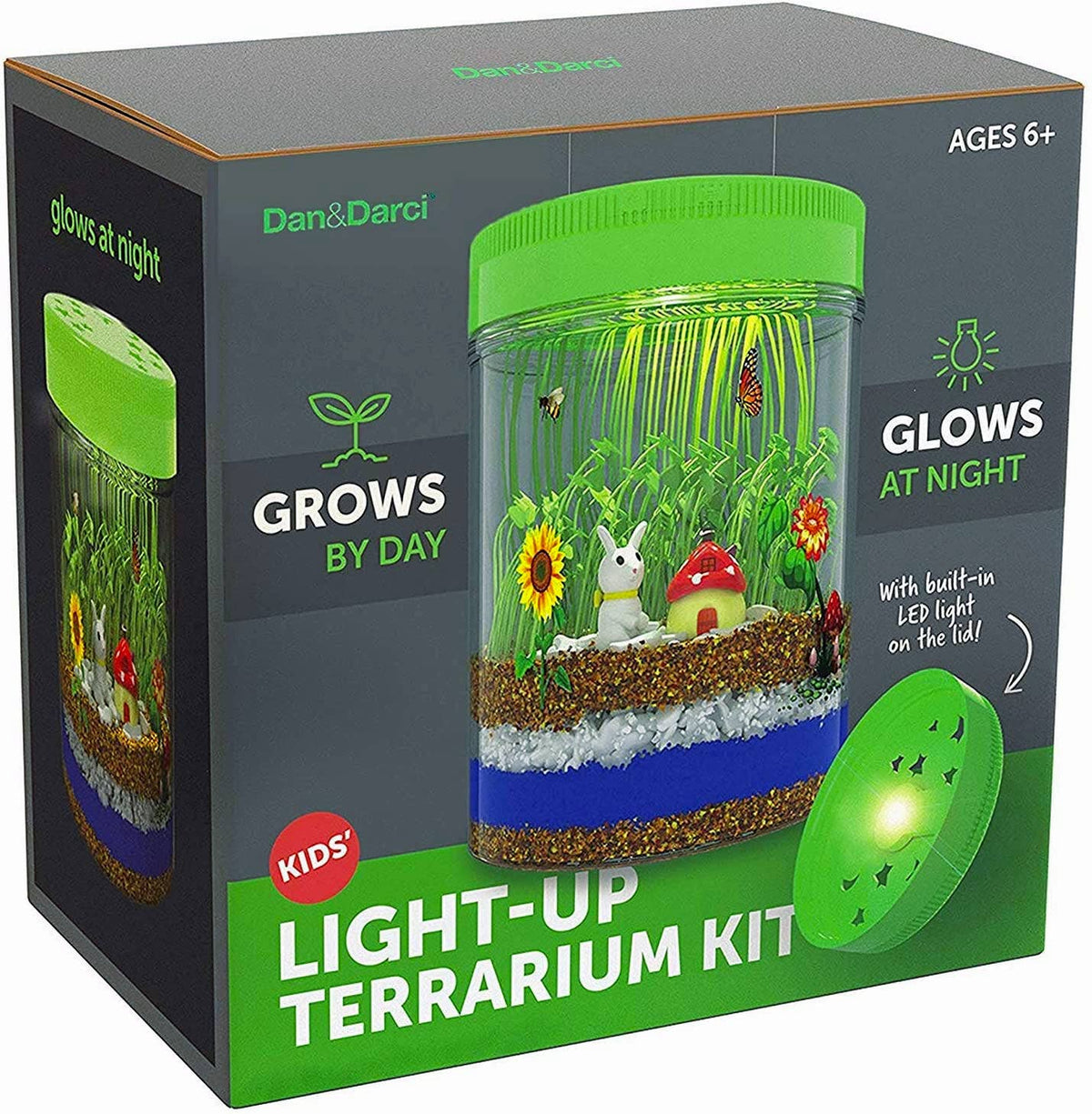 Light-Up Terrarium STEM Science Kit – Build & Grow Your Own Illuminated Mini Garden
