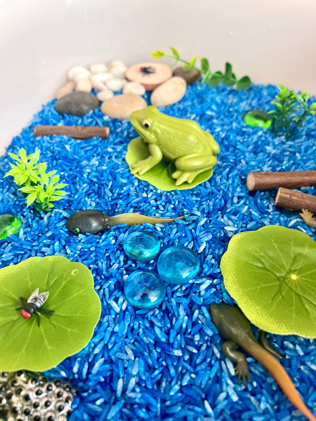 Pond Life Cycle Sensory Kit And Water Play