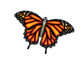 55 Inch Wide Supersize Ultra Monarch Butterfly Ripstop Nylon Kite