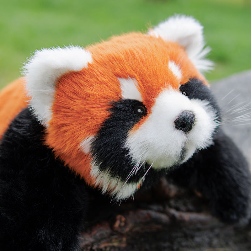 2.5lbs Red Panda ESSA Weighted Stuffed Animal – Snuggle Toy for Relaxation