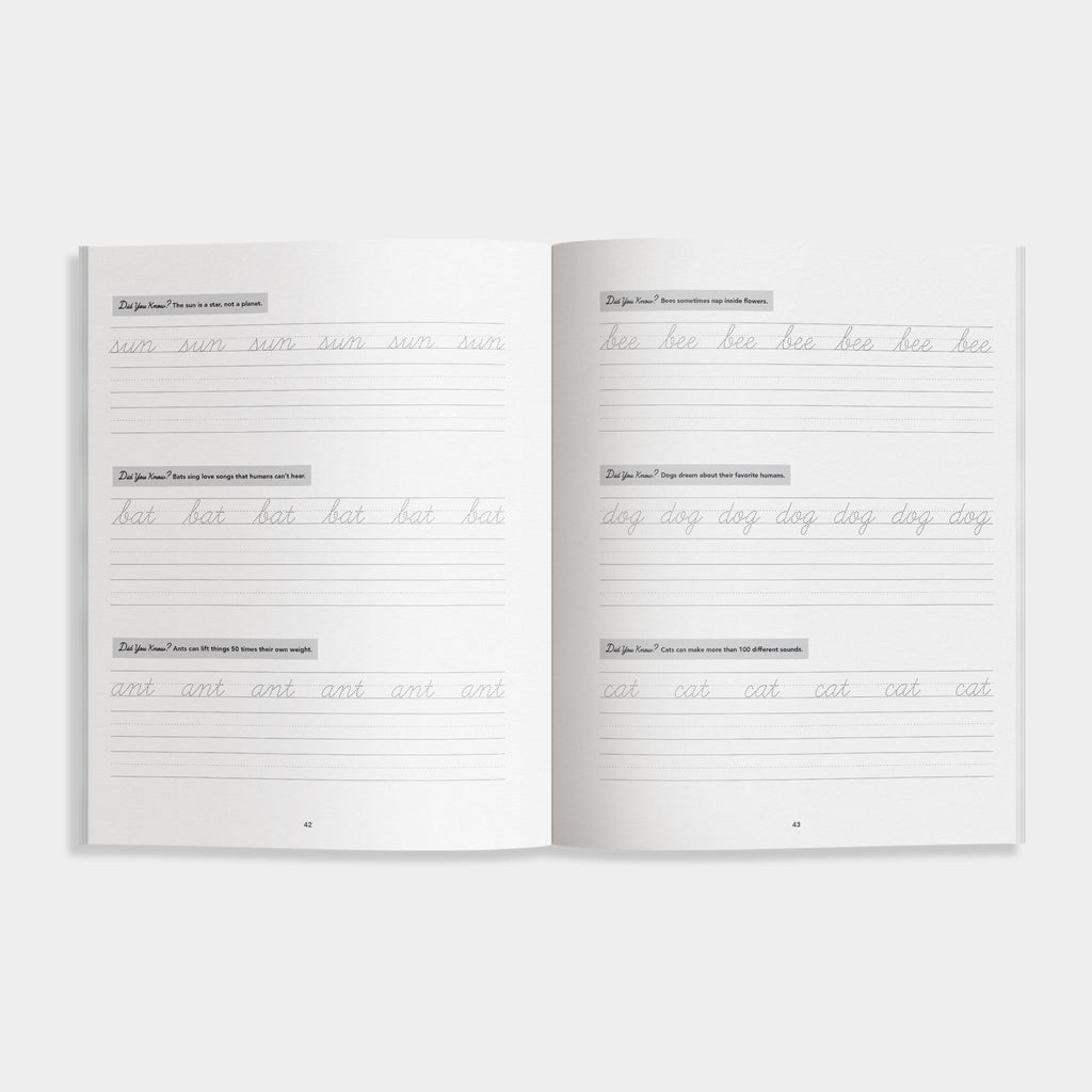 Cursive Handwriting Workbook