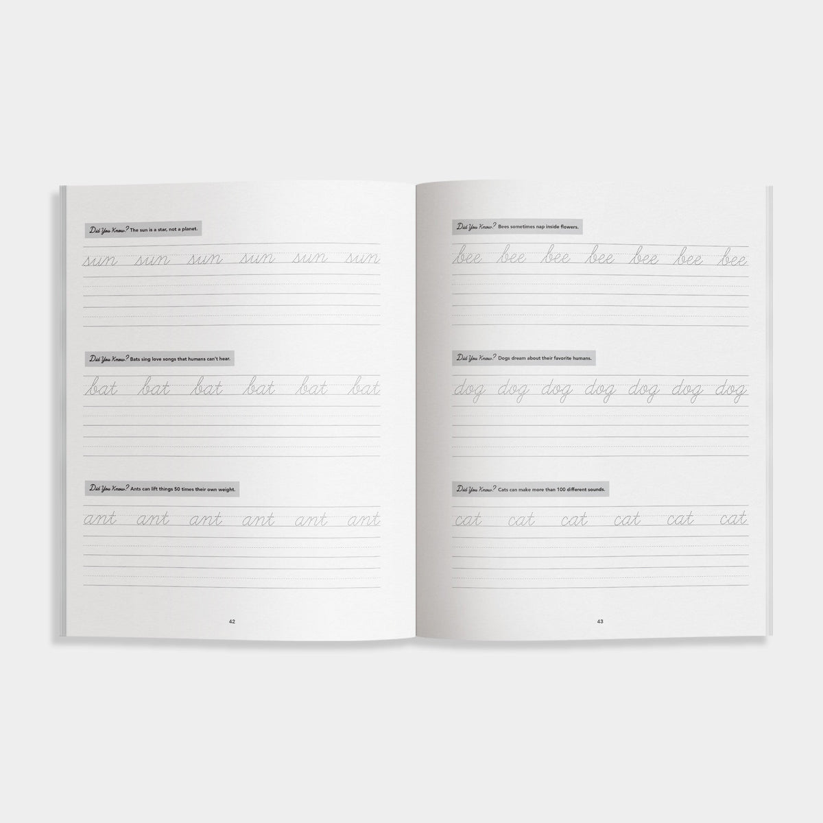 Cursive Handwriting Workbook