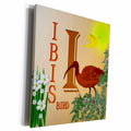 3dRose Decorative Animal Alphabet Art for children - I is for... - Museum Grade Canvas Wrap (cw_52986)