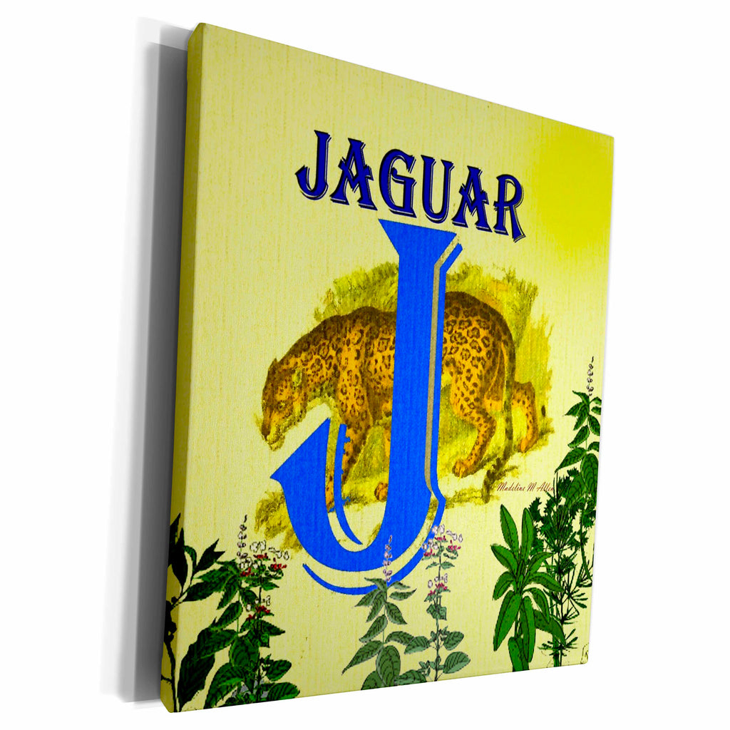 3dRose Decorative Animal Alphabet Art for children - J is for... - Museum Grade Canvas Wrap (cw_52987)