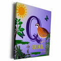 3dRose Decorative Animal Alphabet Art for children - Q is for... - Museum Grade Canvas Wrap (cw_52994)