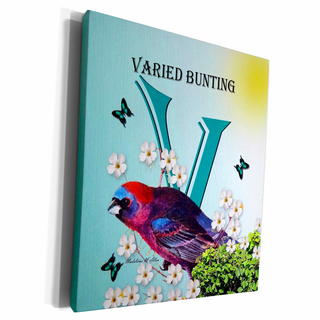 3dRose Decorative Animal Alphabet Art for children - V is for... - Museum Grade Canvas Wrap (cw_52999)