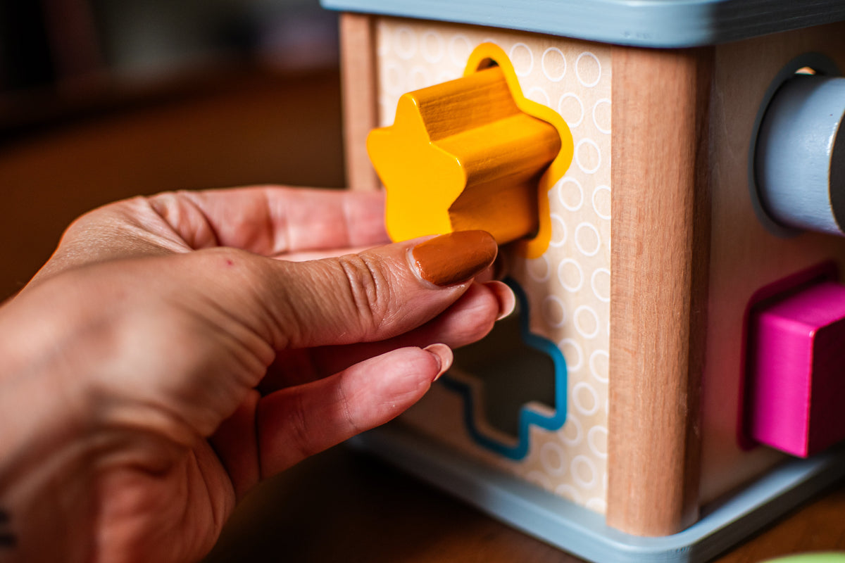 Shape Sorter Toy for Toddlers | Educational Shape & Color Learning Activity