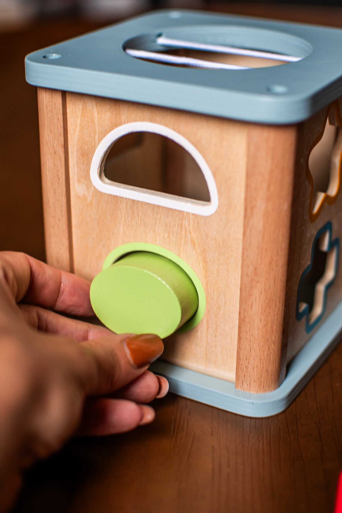 Shape Sorter Toy for Toddlers | Educational Shape & Color Learning Activity