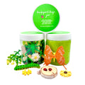Butterfly & Bug Playdough Sensory Kit: Educational Insect-Themed Play Kit