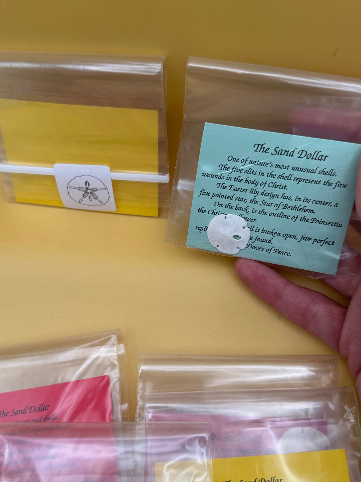 Small Sand Dollar with Legend Story Card – Single or Bulk Party Favors