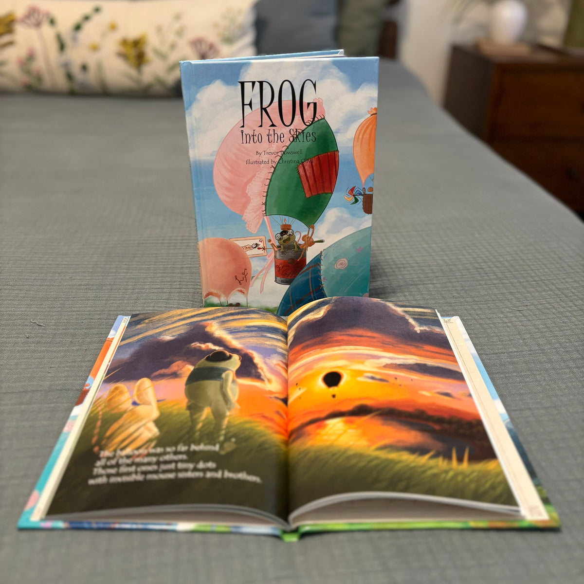 Frog: Into the Skies, Book Seven & Organic Cotton Frog Plushie