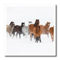 3dRose Rodeo Horses Running During Winter Roundup. Kalispell,... - Iron on Heat Transfers (ht_346628)