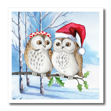 3dRose Two Winter Owls Dressed for The Holidays with Birch... - Iron on Heat Transfers (ht_353565)