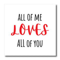All of Me Loves All of You Valentine Love Celebration Gift - Iron on Heat Transfers
