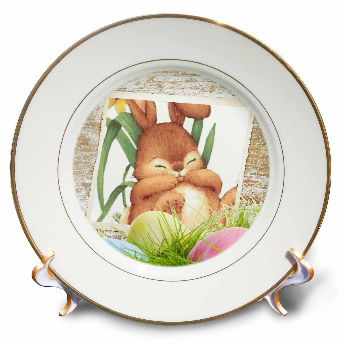 3dRose Susan Brown Designs Holiday Easter - Honey Bunny - Plates (cp_14885)
