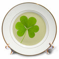 3dRose Patricia Sanders Creations - Green Clover- Irish Art- St. Patricks Day - Plates (cp_39339)
