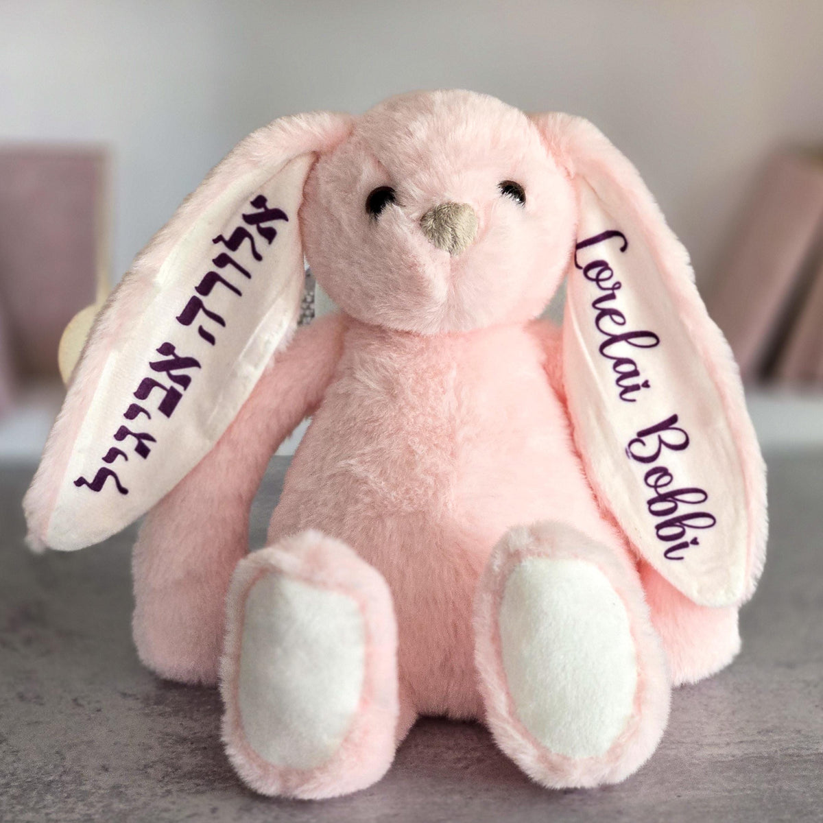 English and Hebrew Custom Plush Bunny for Kids
